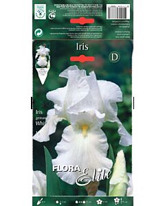 Ирис бял / Iris germanica white / 1 оп ( 1 бр )