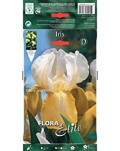 Ирис жълто-бял / Iris germanica white/yellow / 1 бр