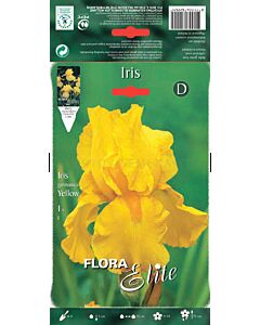 Ирис жълт / Iris germanica yellow / 1 оп ( 1 бр )