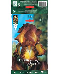 Ирис бронзов / Iris germanica bronze / 1 оп ( 1 бр )
