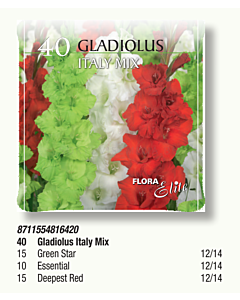 Гладиоли Italy mix pizza box - 1 кутия - 40 бр. луковици
