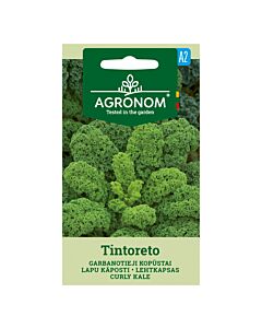 СК СЕМЕНА КЕЙЛ ТИНТОРЕТО - KALE CURLY TINTORETO