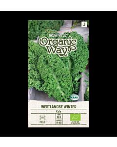 СК СЕМЕНА КЕЙЛ ЗИМЕН OW KALE WESTLANDSE WINTER  