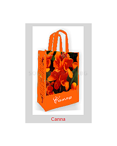 Канна Orange 