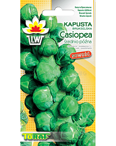 Семена Брюкселско зеле Casiopea - 2 г