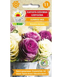 Семена Брасика (декоративно зеле) Sunrise (микс)– 10 семена