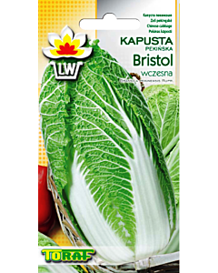 Семена Китайско зеле Bristol 