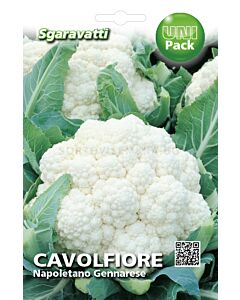 Семена карфиол Napoletano Gennarese`SG
