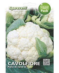 Семена Карфиол Palla di Neve`SG