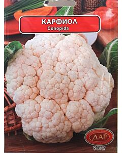 Сорт карфиол Супримакс. Аграра ООД. Сортови семена Варна