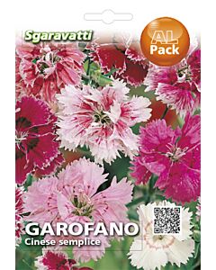 Семена Китайски карамфил`SG