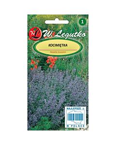 Непета (Котешка трева/Коча билка) синя - Nepeta x faassenii blue-violet (0.20g) - Legutko