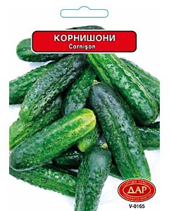 Сорт корнишони Левина. Аграра ООД. Сортови семена Варна.