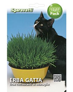 Семена Котешка трева`SG