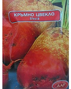 Сорт Кръмно цвекло. Аграра ООД. Сортови семена Варна.