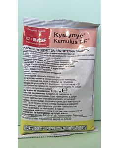 Кумулус 