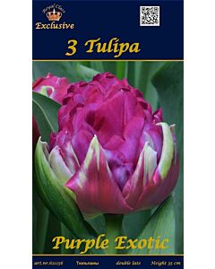 Лалета Purple Exotic (пакет - 3 луковици)