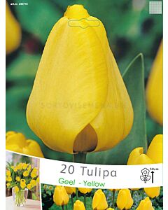 Лалета Geel - Yellow (20 луковици)