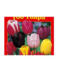 Лалета класически микс (1 оп-50 луковици)