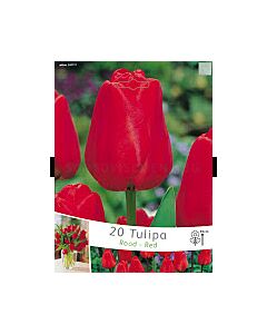 лалета Rood-Red