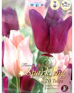 Лалета Sparkling Mix Salmon Prince & Purple Prince