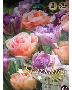 Лалета Sparkling Mix Charming Beauty & Shirley