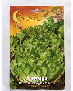 Салата  BIONDA F.RICCIA  - MEGA PACK - BL