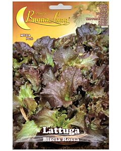 Салата BISCIA ROSSA - MEGA PACK - BL