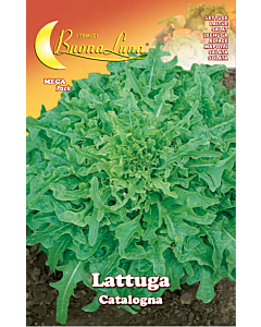 Салата CATALOGNA - MEGA PACK - BL