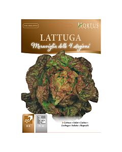 Салата MERAVIGLIA 4 STAGIONI - MEGA PACK-BL
