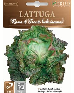 Салата  ROSSA DI TRENTO - MEGA PACK - BL