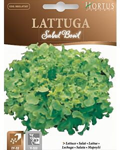 Салата SALAD BOWL- MEGA PACK - BL