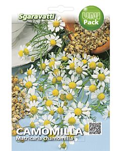 Семена Лайка`SG