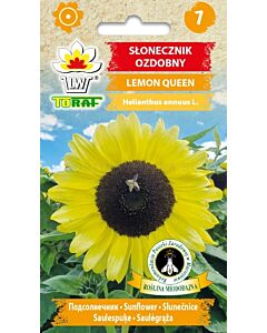 ТОРАФ СЛЪНЧОГЛЕД Lemon Queen
