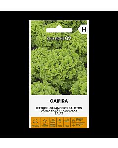 СЕМЕНА САЛАТА CAIPIRA - 'SK - 20 семена