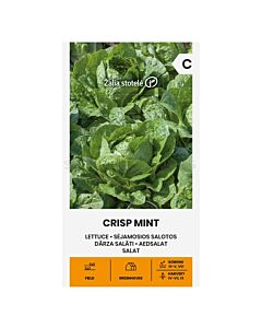 СЕМЕНА САЛАТА КЪДРАВА LETTUCE CRISP MINT - СК