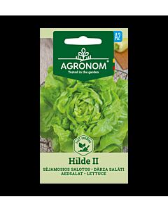 СК САЛАТА ХИЛДЕ II - LETTUCE, HILDE II