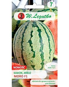 Семена диня /Watermelon Moro F1/ LG -1 oп
