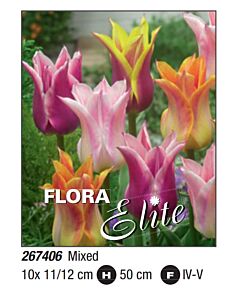 Лале lily-flowered mixed: Пакет: 1 оп. - 10 бр.