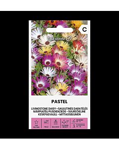 СК Маргаритка Ливингстън PASTEL