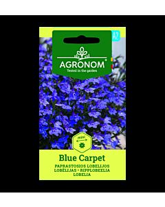 ЛОБЕЛИЯ LOBELIA, BLUE CARPET СК