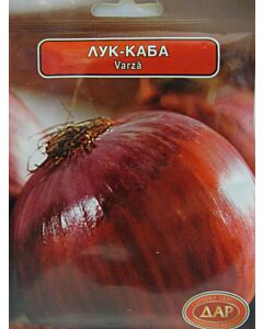 Сорт лук Червена каба. Аграра ООД