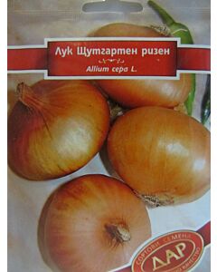 Сорт лук Щутгартен ризен. Аграра ООД. Сортови семена Дар