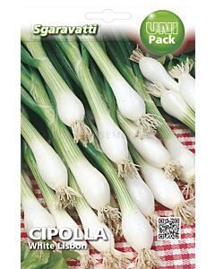 Семена лук за пера White Lisbon`SG