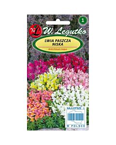 ЛГ КУЧЕНЦА ДЖУДЖЕ МИКС Antirrhinum majus nanum dwarf mixture  