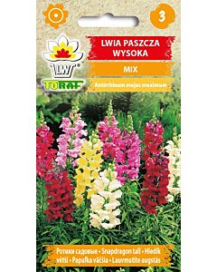 Кученца микс високи - Lwia paszcza wys