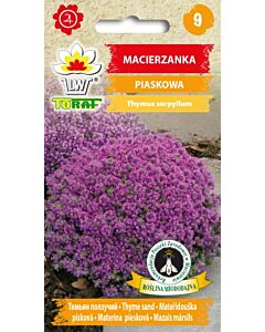 Семена пясъчна мащерка лилава / Macierzanka purpurowa/ TF -1 оп