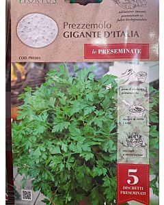 Магданоз Гигант семена на диск - Gigante D'Italia