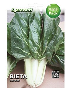 Семена Манголд Barese`SG