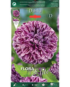 Далия - Dahlia ball Marble Ball - 1 оп